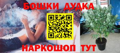 прущие крисы Севастополь