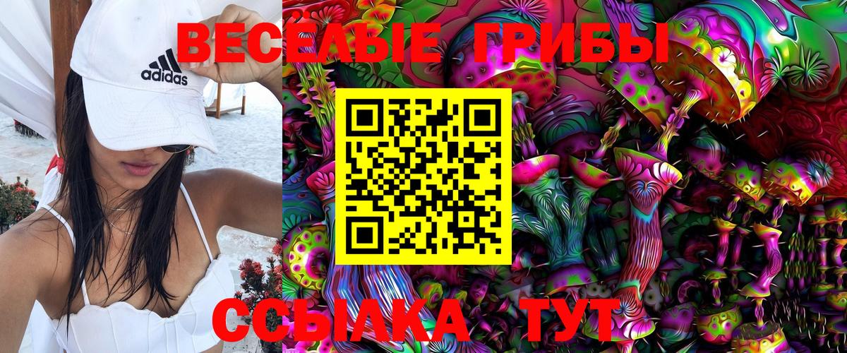 Сафоново  Галлюциногенные грибы Cubensis  Вход с VPN  Псилоцибиновые грибы мицелий 